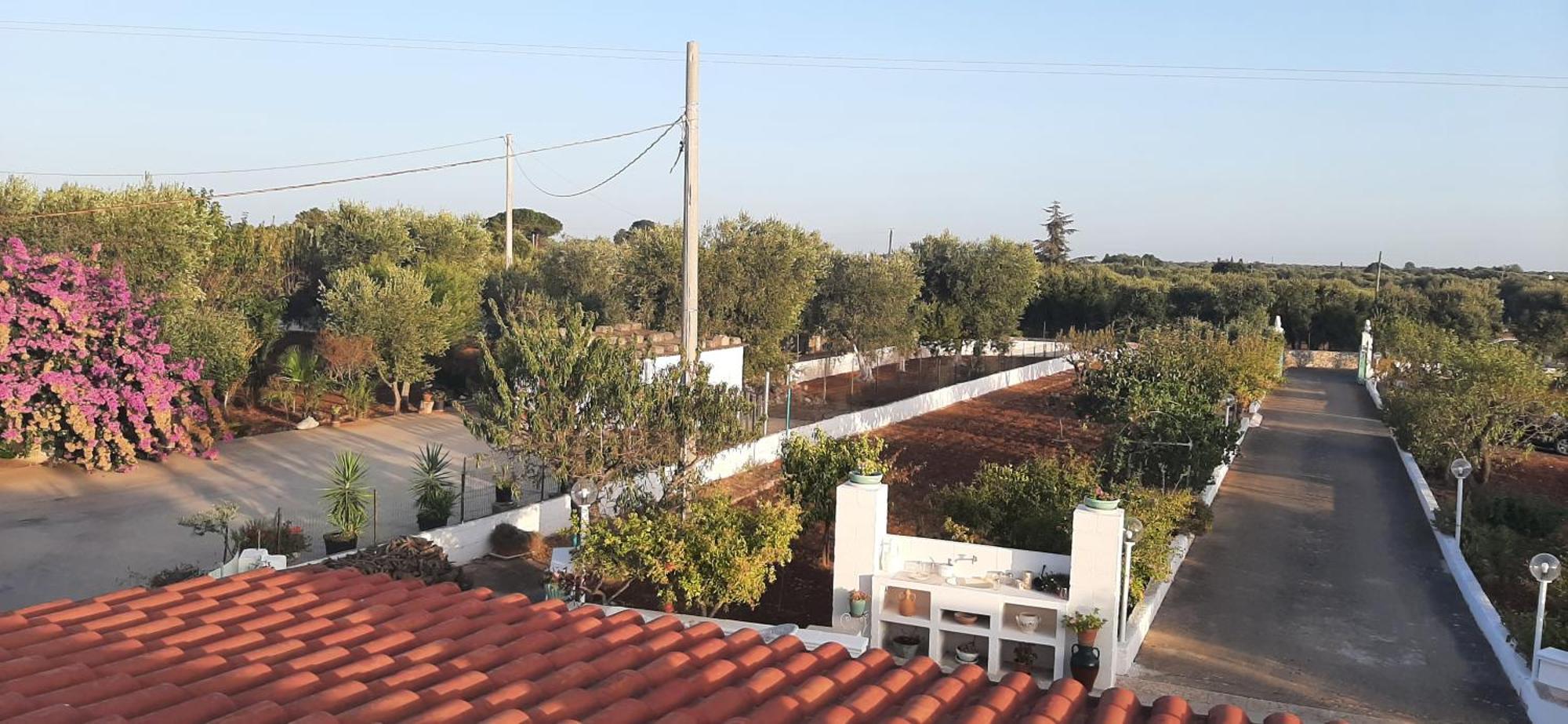 אוסטוני Villa Mina מראה חיצוני תמונה